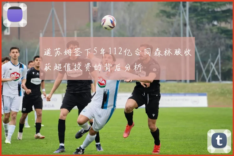 道苏姆签下5年112亿合同森林狼收获超值投资的背后分析